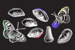 El efecto mariposa hace referencia a cómo pequeñas decisiones pueden provocar grandes cambios en nuestra vida.