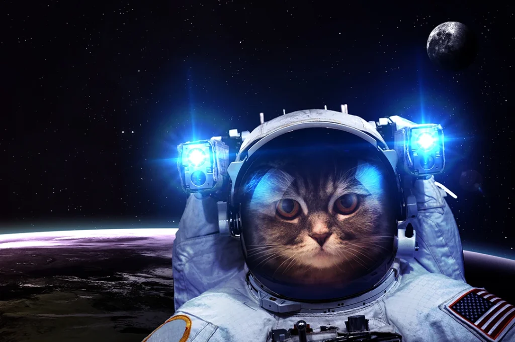 La IA potencia la creatividad de los diseñadores, esto se verá reflejado en campañas y marcas. 