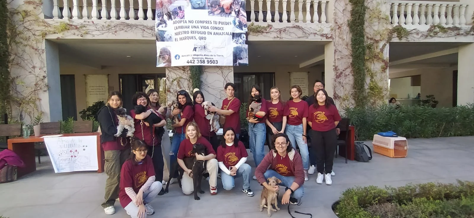 ¿Cómo hacer el servicio social en Universidad Humanitas? Descubre tus opciones y no te quedes atrás.