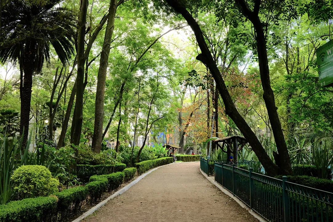 El contacto directo con la naturaleza, como caminar en parques con árboles, favorece la relajación y la claridad mental.