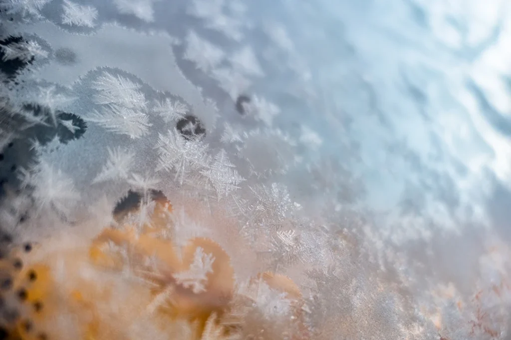 Cada copo es un cristal de hielo con simetría hexagonal perfecta, pero con una geometría interna única: no existen dos copos de nieve exactamente iguales en el mundo.