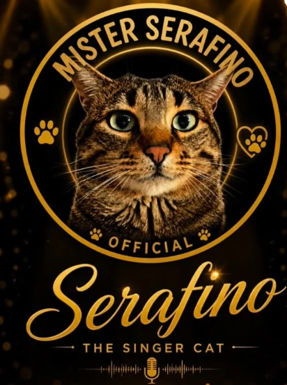 Serafino se volvió una sensación en las redes sociales durante 2026 gracias a sus maullidos afinados.