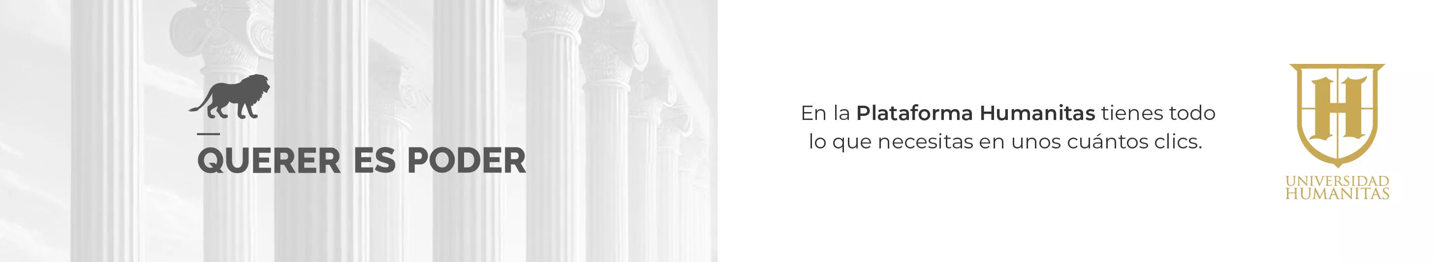 En la Plataforma Humanitas tienes todo lo que necesitas en unos cuántos clics.